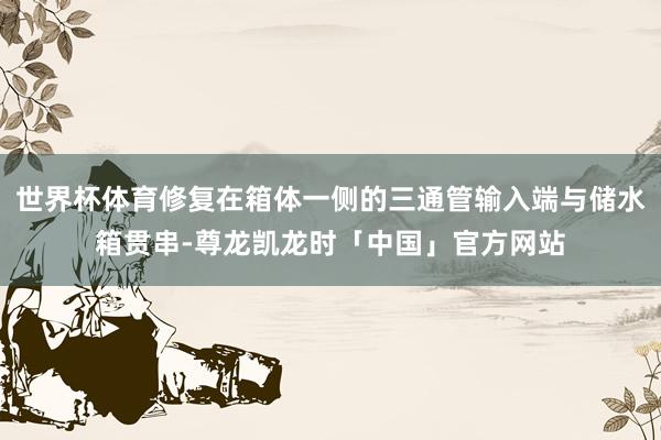世界杯体育修复在箱体一侧的三通管输入端与储水箱贯串-尊龙凯龙时「中国」官方网站