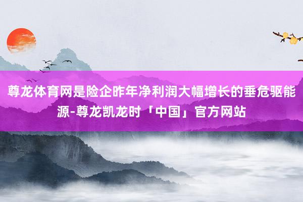 尊龙体育网是险企昨年净利润大幅增长的垂危驱能源-尊龙凯龙时「中国」官方网站