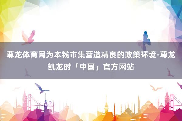 尊龙体育网为本钱市集营造精良的政策环境-尊龙凯龙时「中国」官方网站