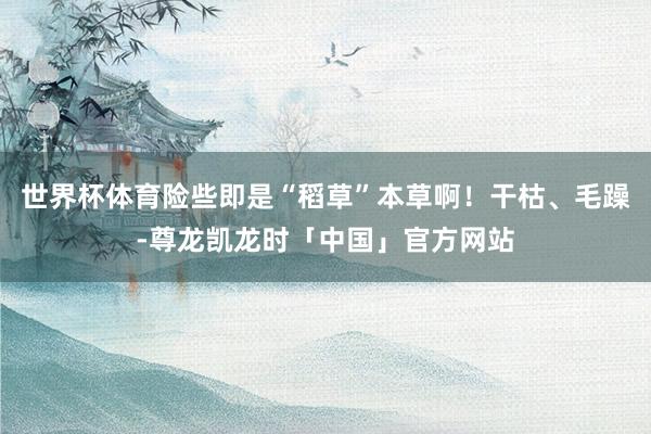 世界杯体育险些即是“稻草”本草啊！干枯、毛躁-尊龙凯龙时「中国」官方网站