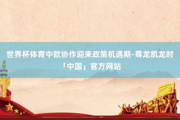 世界杯体育中欧协作迎来政策机遇期-尊龙凯龙时「中国」官方网站