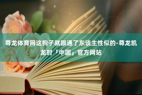 尊龙体育网这狗子就跟通了东谈主性似的-尊龙凯龙时「中国」官方网站