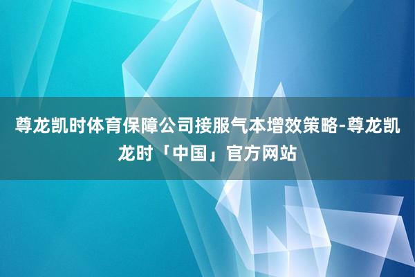 尊龙凯时体育保障公司接服气本增效策略-尊龙凯龙时「中国」官方网站