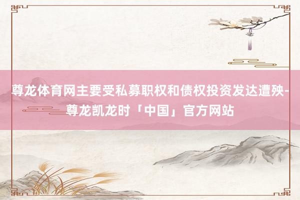 尊龙体育网主要受私募职权和债权投资发达遭殃-尊龙凯龙时「中国」官方网站