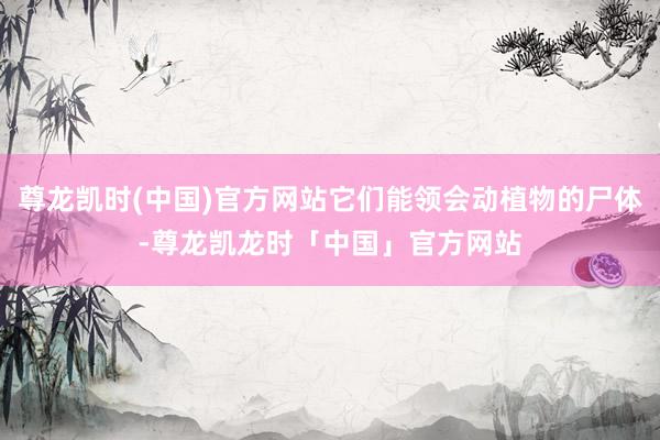 尊龙凯时(中国)官方网站它们能领会动植物的尸体-尊龙凯龙时「中国」官方网站