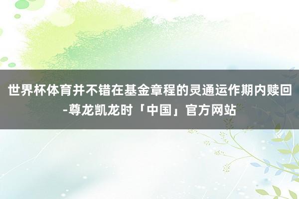 世界杯体育并不错在基金章程的灵通运作期内赎回-尊龙凯龙时「中国」官方网站