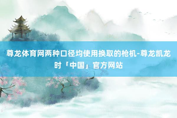 尊龙体育网两种口径均使用换取的枪机-尊龙凯龙时「中国」官方网站