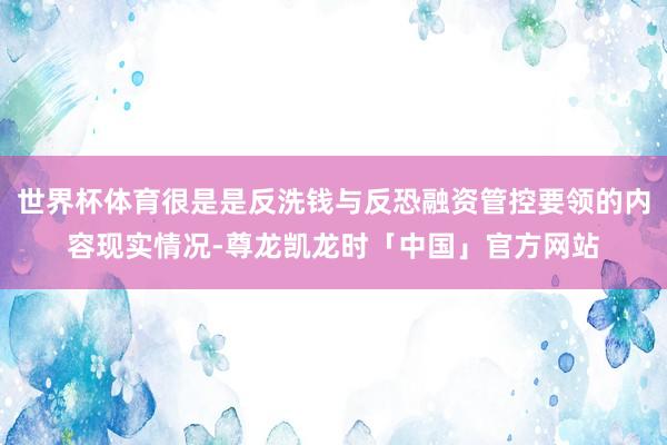 世界杯体育很是是反洗钱与反恐融资管控要领的内容现实情况-尊龙凯龙时「中国」官方网站
