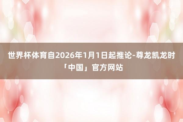 世界杯体育自2026年1月1日起推论-尊龙凯龙时「中国」官方网站