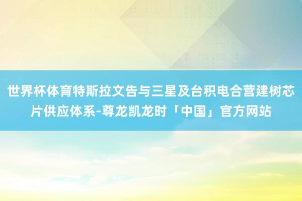 世界杯体育特斯拉文告与三星及台积电合营建树芯片供应体系-尊龙凯龙时「中国」官方网站