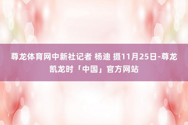 尊龙体育网中新社记者 杨迪 摄11月25日-尊龙凯龙时「中国」官方网站