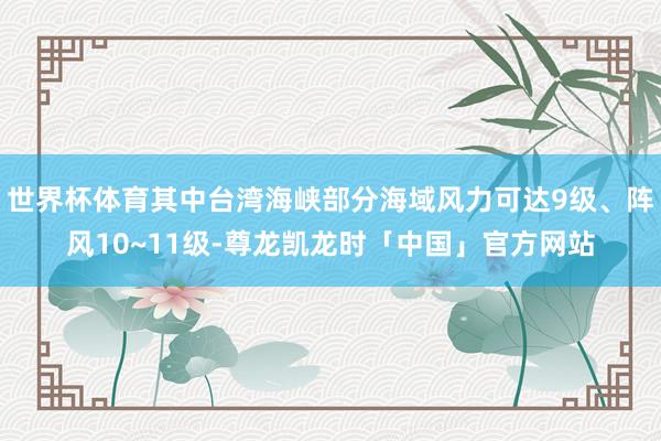 世界杯体育其中台湾海峡部分海域风力可达9级、阵风10~11级-尊龙凯龙时「中国」官方网站