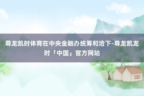 尊龙凯时体育在中央金融办统筹和洽下-尊龙凯龙时「中国」官方网站