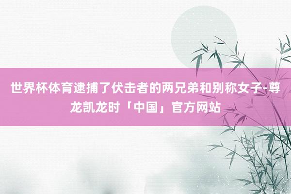 世界杯体育逮捕了伏击者的两兄弟和别称女子-尊龙凯龙时「中国」官方网站